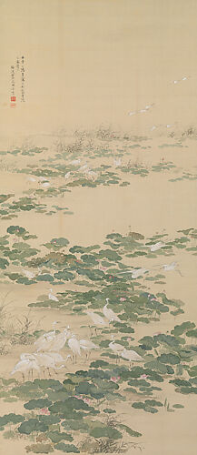 Egrets in a Lotus Pond