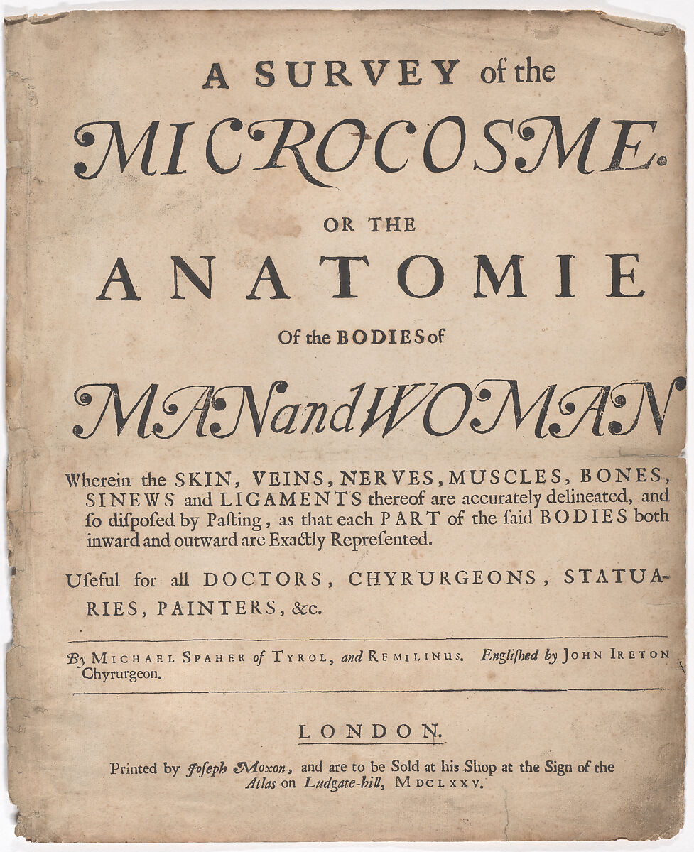 A Survey of the Microcosme or the Anatomie of the Bodies of Man and Woman wherein the Skin, Veins, Nerves, Muscles, Bones, Sinews and Ligaments Thereof are Accurately Delineated, and so Disposed by Pasting, as that Each Part of the Said Bodies Both Inward and Outward are Exactly Represented. Useful for all Doctors, Chyrurgeons, Statuaries, Painters, &c., Johann Remmelin (German, 1583–1632), Engraving and letterpress text
