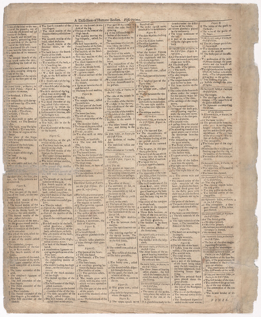 A Survey of the Microcosme or the Anatomie of the Bodies of Man and Woman wherein the Skin, Veins, Nerves, Muscles, Bones, Sinews and Ligaments Thereof are Accurately Delineated, and so Disposed by Pasting, as that Each Part of the Said Bodies Both Inward and Outward are Exactly Represented. Useful for all Doctors, Chyrurgeons, Statuaries, Painters, &c., Johann Remmelin (German, 1583–1632), Engraving and letterpress text