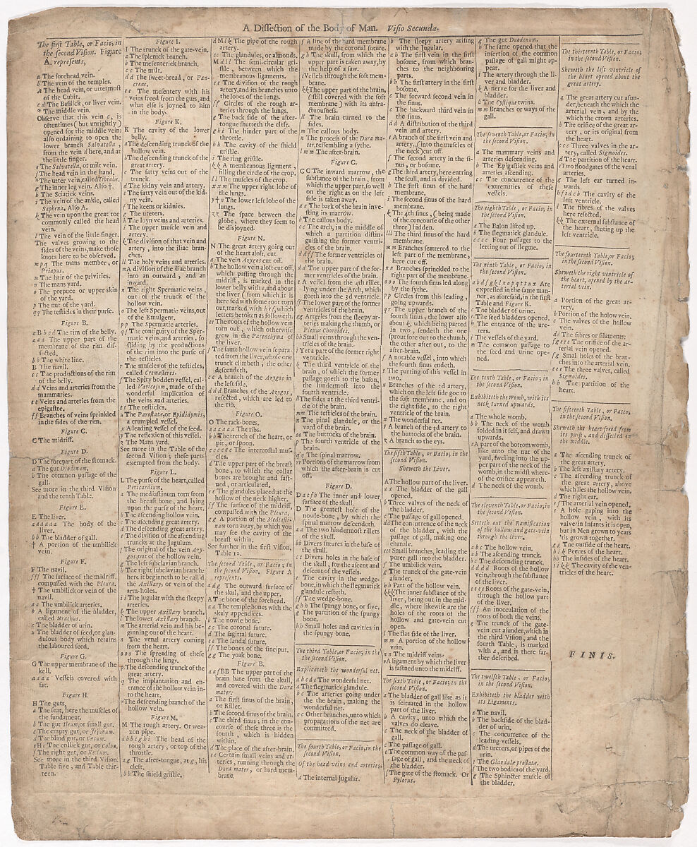 A Survey of the Microcosme or the Anatomie of the Bodies of Man and Woman wherein the Skin, Veins, Nerves, Muscles, Bones, Sinews and Ligaments Thereof are Accurately Delineated, and so Disposed by Pasting, as that Each Part of the Said Bodies Both Inward and Outward are Exactly Represented. Useful for all Doctors, Chyrurgeons, Statuaries, Painters, &c., Johann Remmelin (German, 1583–1632), Engraving and letterpress text