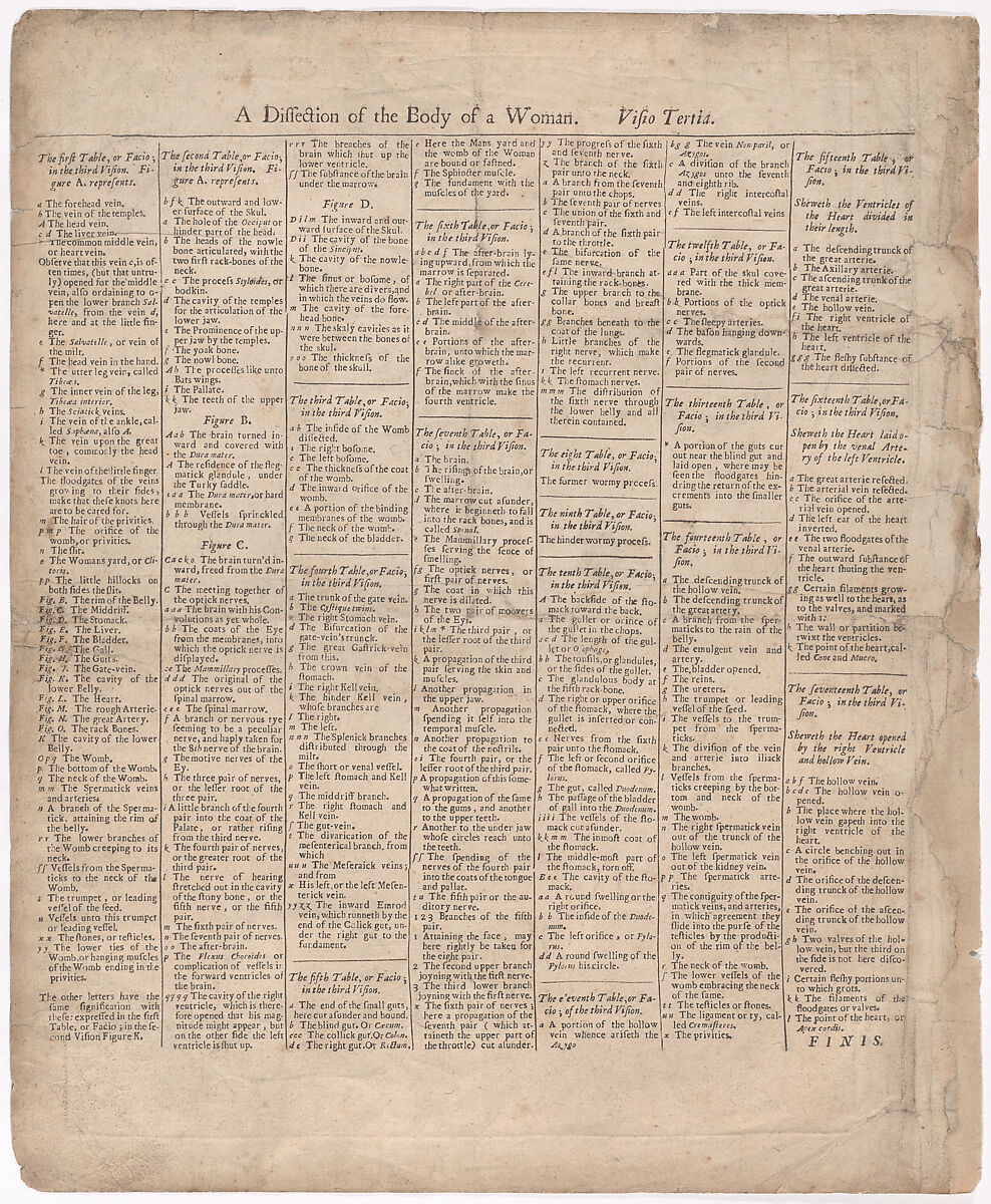 A Survey of the Microcosme or the Anatomie of the Bodies of Man and Woman wherein the Skin, Veins, Nerves, Muscles, Bones, Sinews and Ligaments Thereof are Accurately Delineated, and so Disposed by Pasting, as that Each Part of the Said Bodies Both Inward and Outward are Exactly Represented. Useful for all Doctors, Chyrurgeons, Statuaries, Painters, &c., Johann Remmelin (German, 1583–1632), Engraving and letterpress text