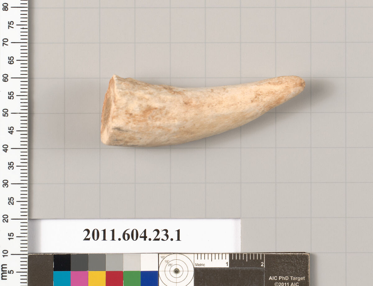 Bone or ivory fragment, Bone