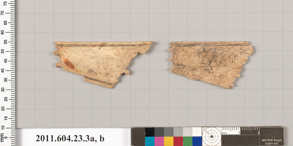 Bone or ivory fragments, Bone 