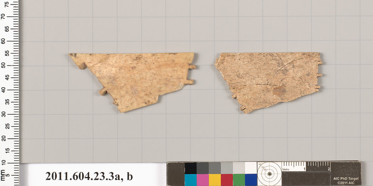 Bone or ivory fragments, Bone