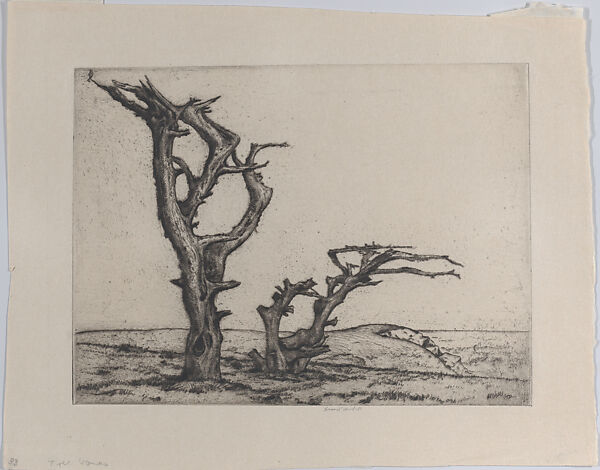 Tree Bones, Ernest Haskell (American, Woodstock, Connecticut 1876–1925 West Point, Maine), Drypoint 