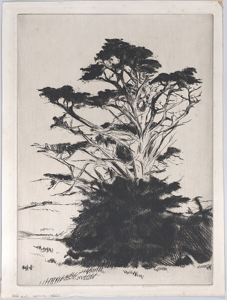 Old and Young Cypress, Ernest Haskell (American, Woodstock, Connecticut 1876–1925 West Point, Maine), Drypoint 