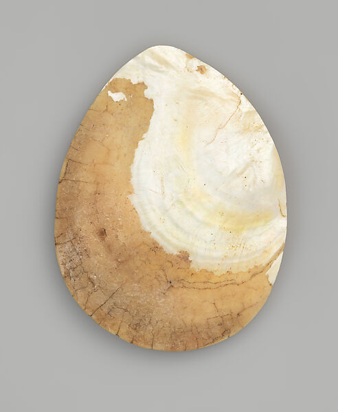 Engraved pearl shell, Carved Australian Gold-Lipped Pearl Shell, Pinctada Maxima [not endangered], natural earth pigments, Western Australia