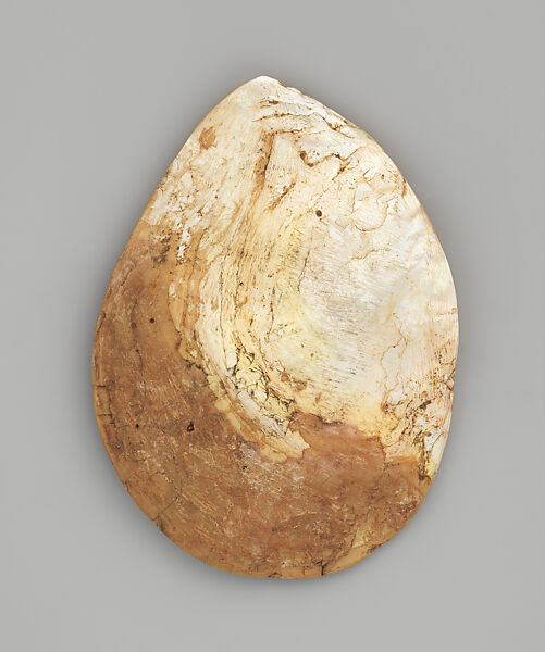 Engraved pearl shell, Carved Australian Gold-Lipped Pearl Shell, Pinctada Maxima [not endangered], natural earth pigments, Western Australia