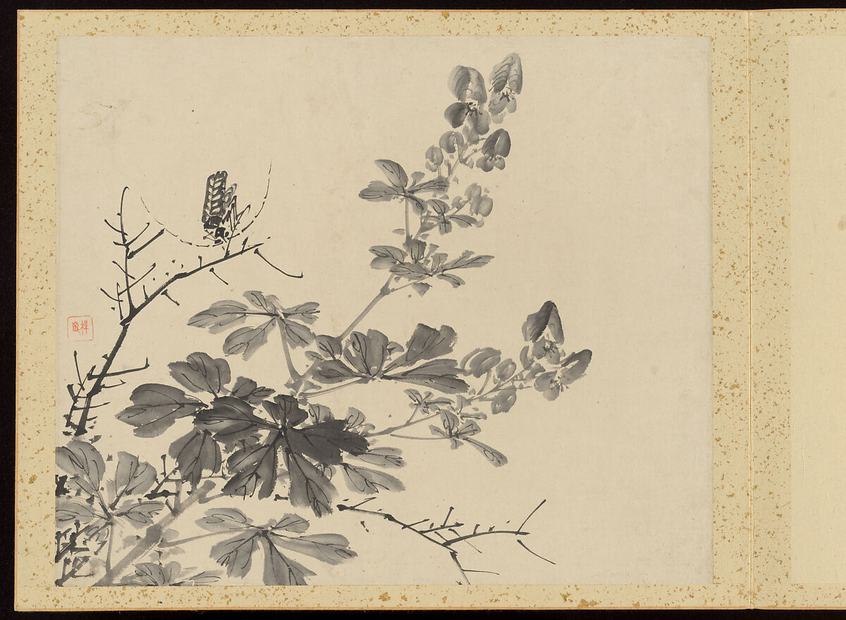 "Refined Elegance in the Four Seasons" (Shiji seiga), Album of Flower Paintings, Yamamoto Baiitsu (Japanese, 1783–1856), Album of twelve leaves; ink on paper, Japan