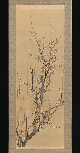 Plum Blossoms