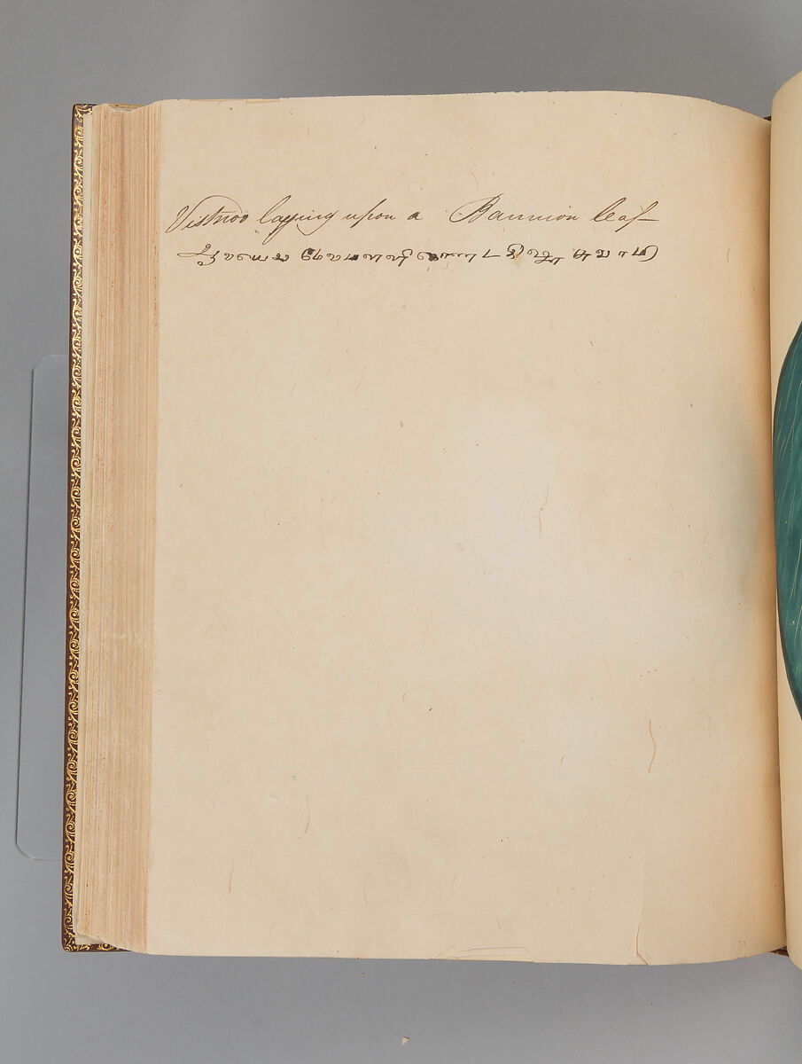 Album depicting one hundred Hindu gods, Unidentified artists (Indian, Madurai, ca. 1830s), Watercolor, ink, and gold on paper, India, Madurai, Tamil Nadu