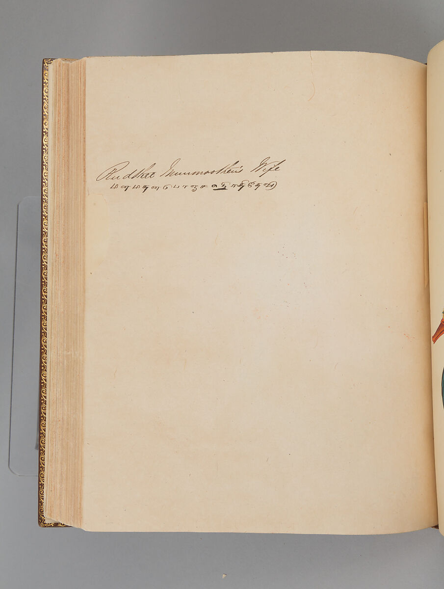 Album depicting one hundred Hindu gods, Unidentified artists (Indian, Madurai, ca. 1830s), Watercolor, ink, and gold on paper, India, Madurai, Tamil Nadu