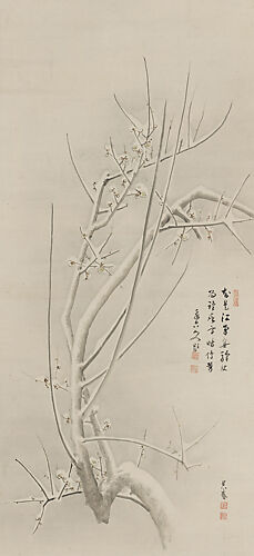 Blossoming Plum in Mist and in Snow