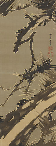 Old Pine