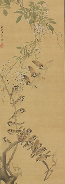 Sparrows Alighting on Wisteria, Nagasawa Rosetsu (Japanese, 1754–1799), Hanging scroll; ink and color on silk, Japan 