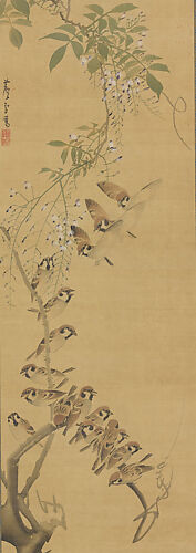 Sparrows Alighting on Wisteria