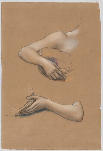Study of Arms for 