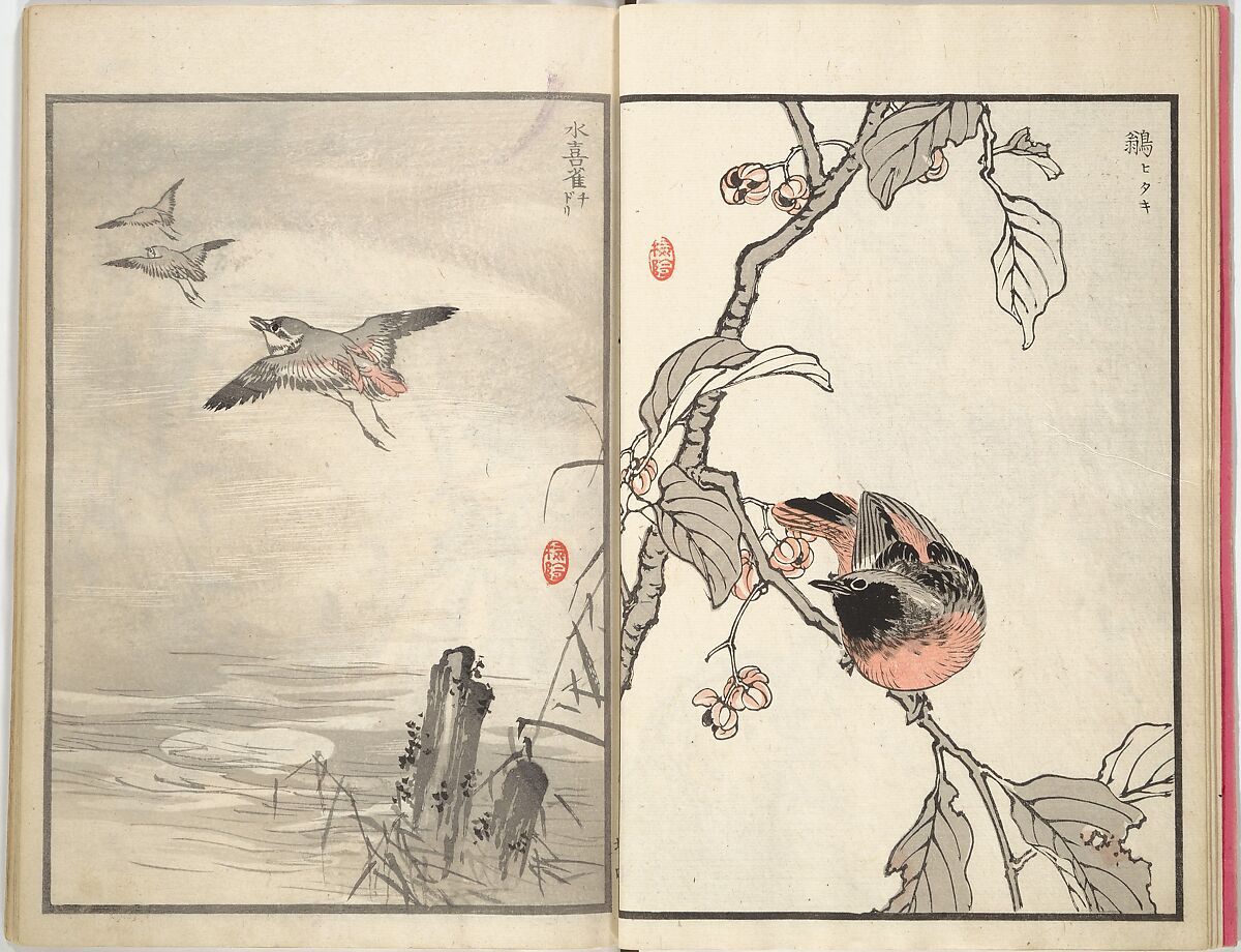 Bairei Picture Album of One Hundred Birds (Bairei hyakuchō gafu) 楳嶺百鳥畫譜, Kōno Bairei (Japanese, 1844–1895), Set of three woodblock printed books; ink and color on paper, Japan