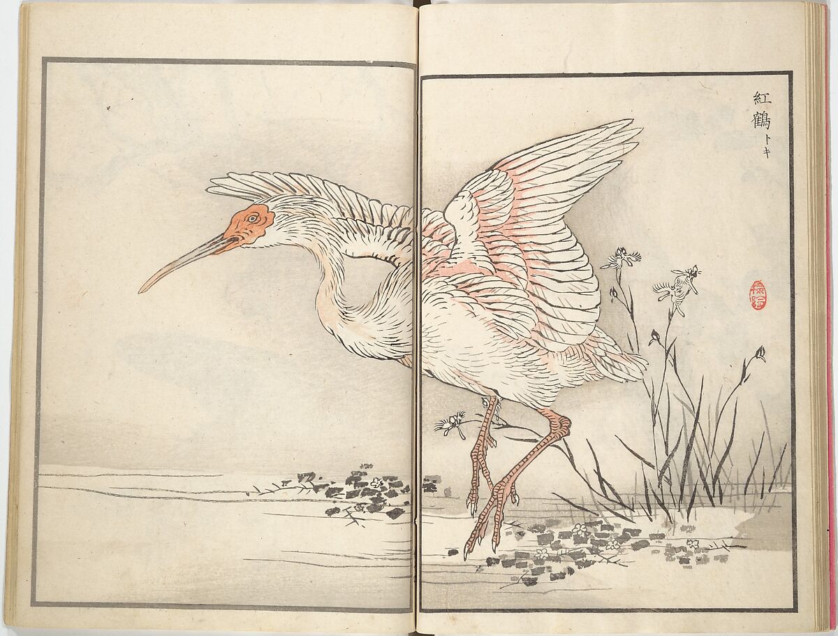 Bairei Picture Album of One Hundred Birds (Bairei hyakuchō gafu) 楳嶺百鳥畫譜, Kōno Bairei (Japanese, 1844–1895), Set of three woodblock printed books; ink and color on paper, Japan