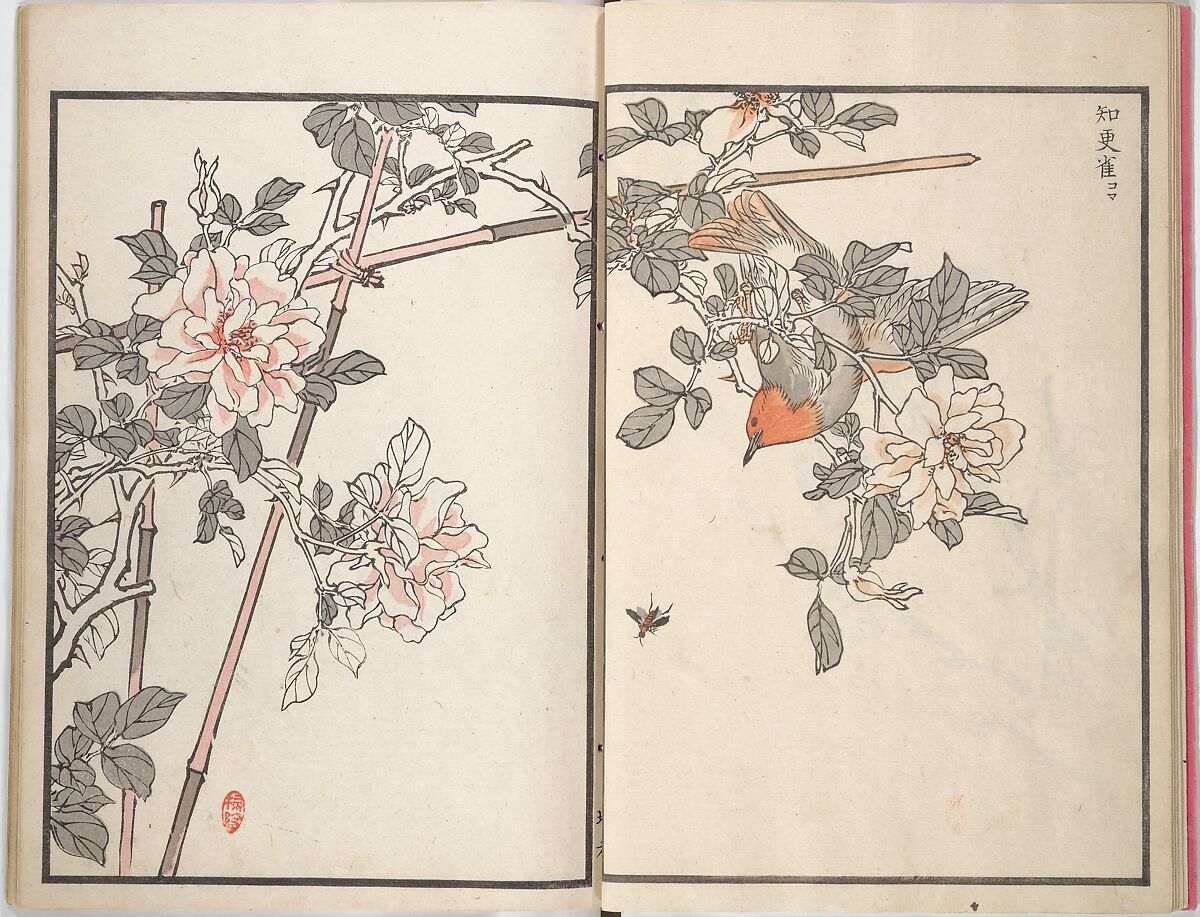 Bairei Picture Album of One Hundred Birds (Bairei hyakuchō gafu) 楳嶺百鳥畫譜, Kōno Bairei (Japanese, 1844–1895), Set of three woodblock printed books; ink and color on paper, Japan