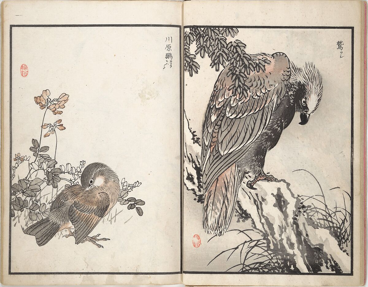 Bairei Picture Album of One Hundred Birds (Bairei hyakuchō gafu) 楳嶺百鳥畫譜, Kōno Bairei (Japanese, 1844–1895), Set of three woodblock printed books; ink and color on paper, Japan