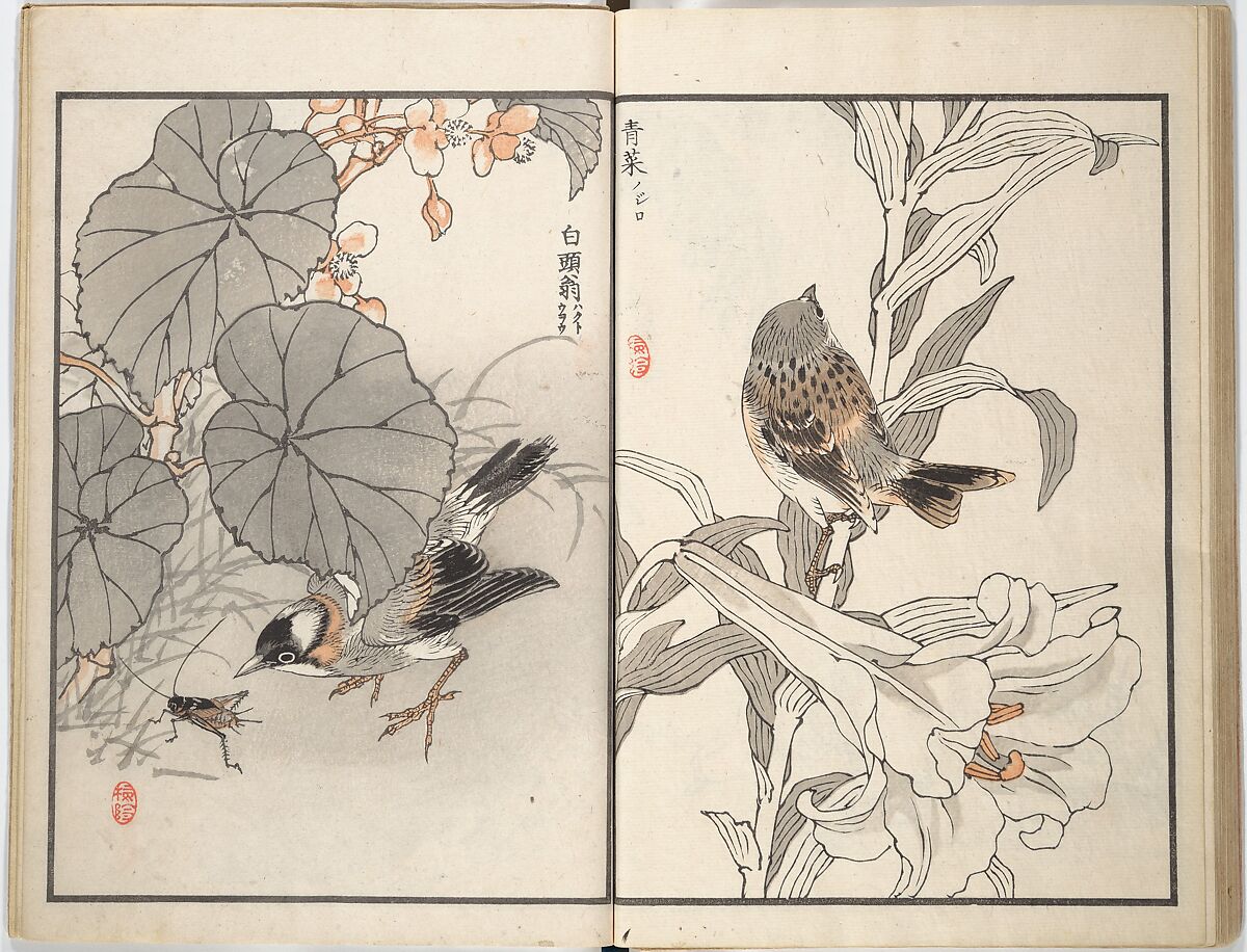 Bairei Picture Album of One Hundred Birds (Bairei hyakuchō gafu) 楳嶺百鳥畫譜, Kōno Bairei (Japanese, 1844–1895), Set of three woodblock printed books; ink and color on paper, Japan