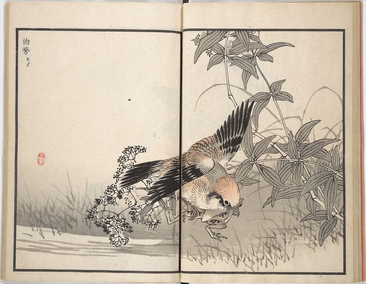 Bairei Picture Album of One Hundred Birds (Bairei hyakuchō gafu) 楳嶺百鳥畫譜, Kōno Bairei (Japanese, 1844–1895), Set of three woodblock printed books; ink and color on paper, Japan