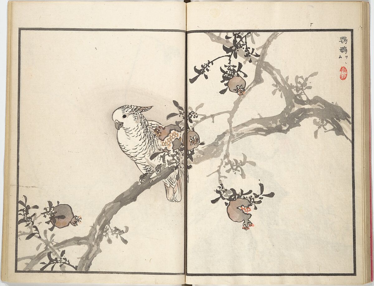 Bairei Picture Album of One Hundred Birds (Bairei hyakuchō gafu) 楳嶺百鳥畫譜, Kōno Bairei (Japanese, 1844–1895), Set of three woodblock printed books; ink and color on paper, Japan