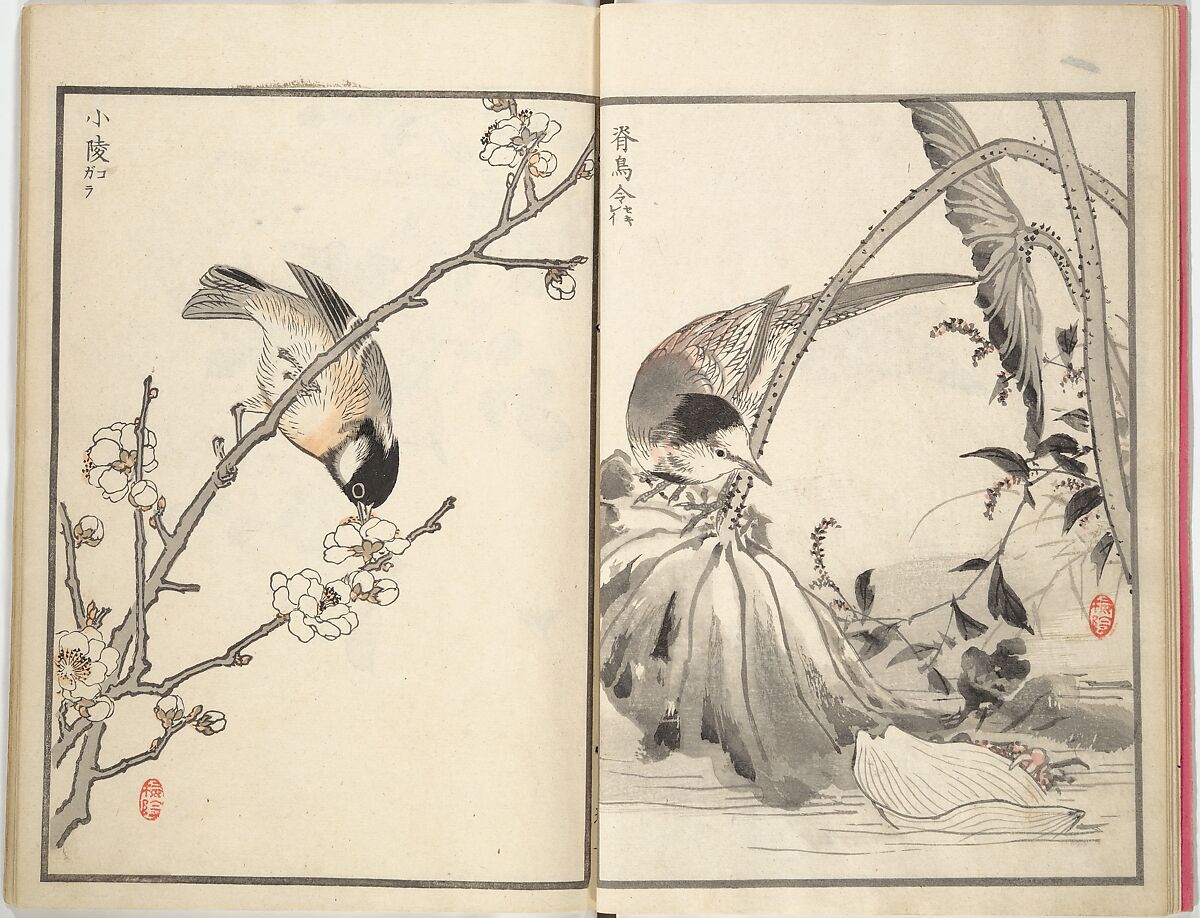 Bairei Picture Album of One Hundred Birds (Bairei hyakuchō gafu) 楳嶺百鳥畫譜, Kōno Bairei (Japanese, 1844–1895), Set of three woodblock printed books; ink and color on paper, Japan