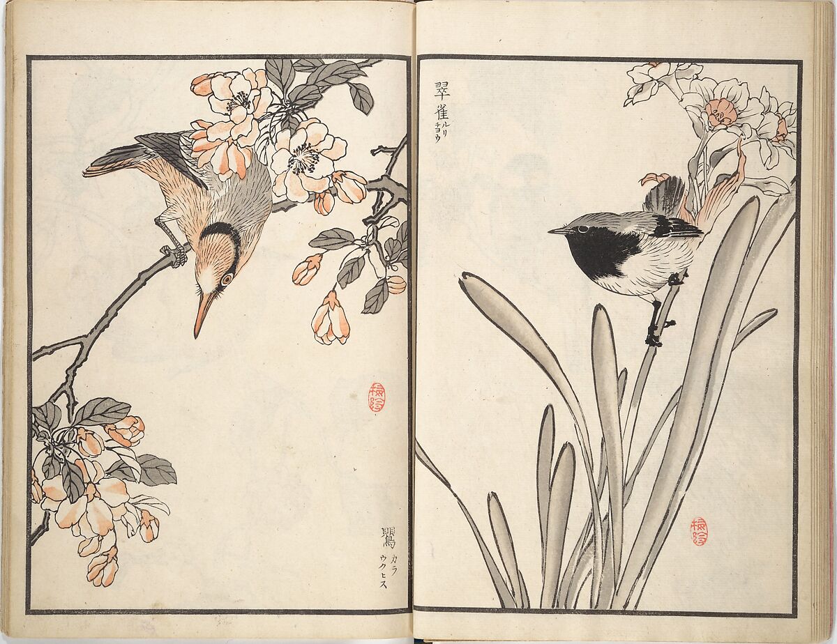 Bairei Picture Album of One Hundred Birds (Bairei hyakuchō gafu) 楳嶺百鳥畫譜, Kōno Bairei (Japanese, 1844–1895), Set of three woodblock printed books; ink and color on paper, Japan