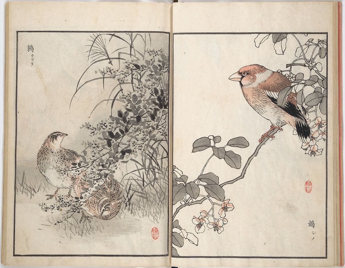 Bairei Picture Album of One Hundred Birds (Bairei hyakuchō gafu) 楳嶺百鳥畫譜, Kōno Bairei (Japanese, 1844–1895), Set of three woodblock printed books; ink and color on paper, Japan