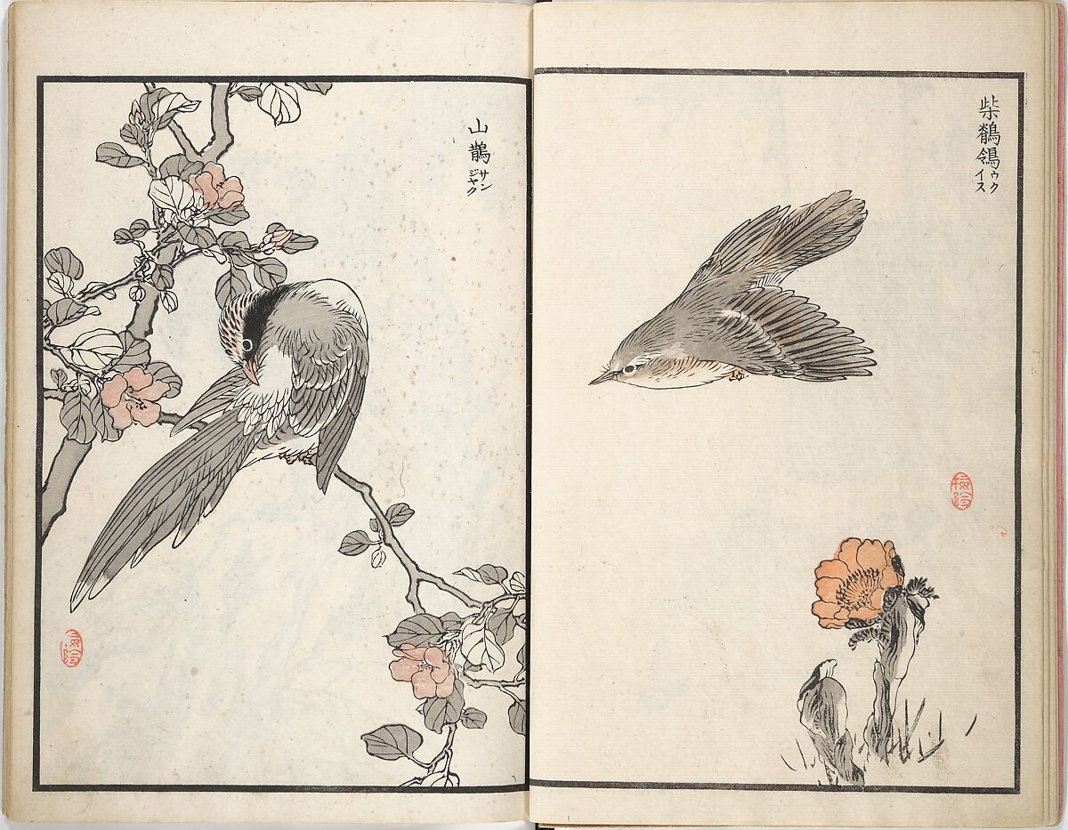 Bairei Picture Album of One Hundred Birds (Bairei hyakuchō gafu) 楳嶺百鳥畫譜, Kōno Bairei (Japanese, 1844–1895), Set of three woodblock printed books; ink and color on paper, Japan