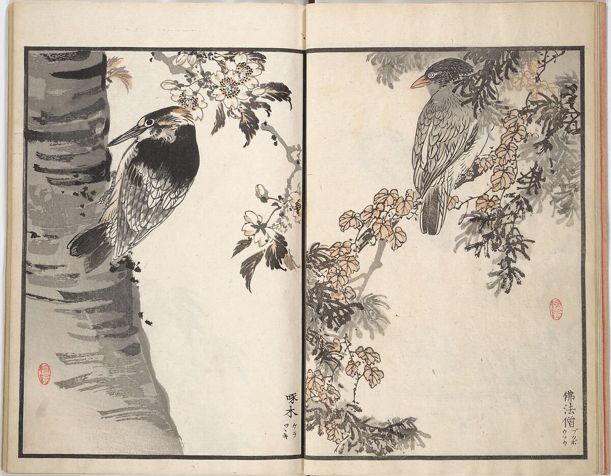 Bairei Picture Album of One Hundred Birds (Bairei hyakuchō gafu) 楳嶺百鳥畫譜, Kōno Bairei (Japanese, 1844–1895), Set of three woodblock printed books; ink and color on paper, Japan