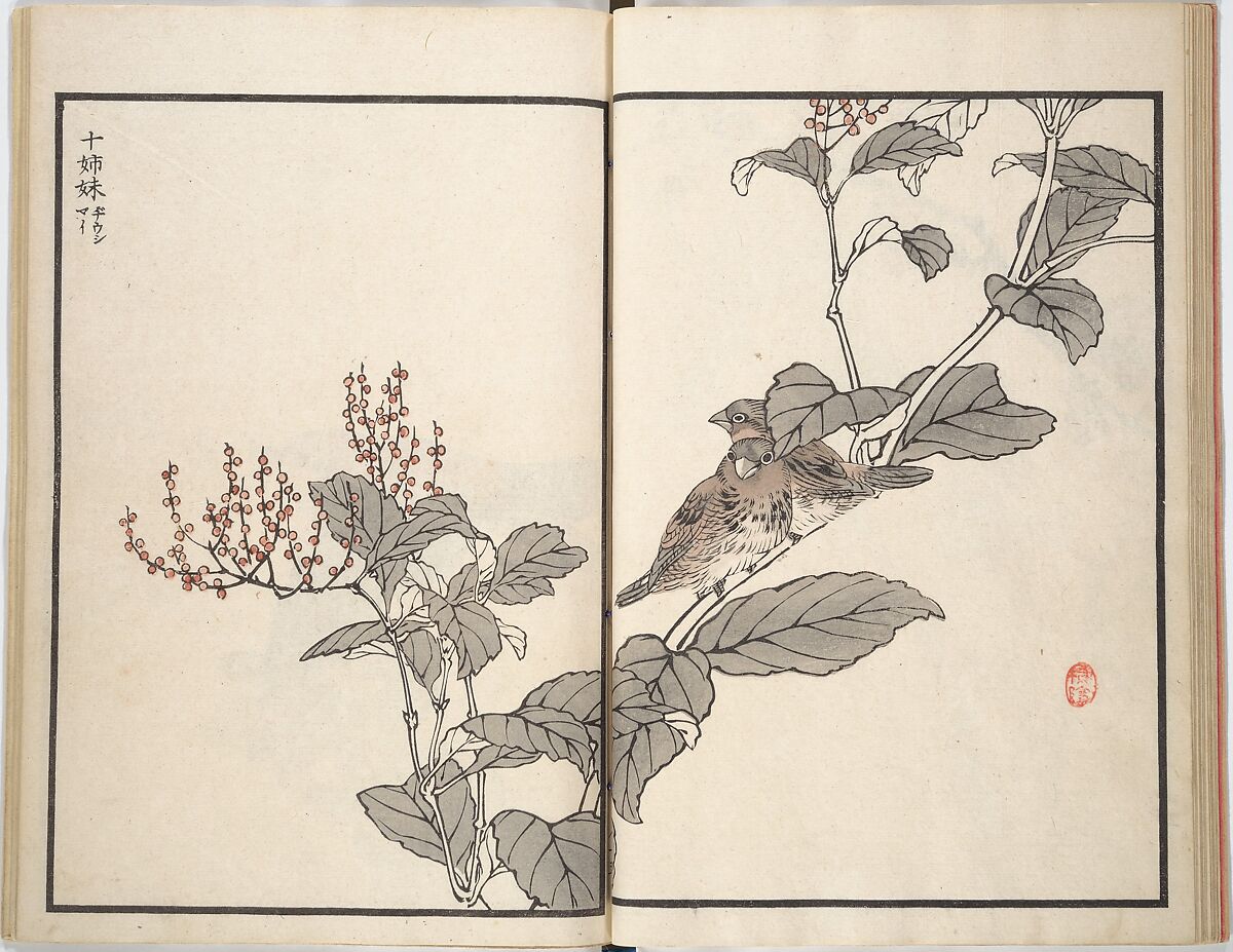 Bairei Picture Album of One Hundred Birds (Bairei hyakuchō gafu) 楳嶺百鳥畫譜, Kōno Bairei (Japanese, 1844–1895), Set of three woodblock printed books; ink and color on paper, Japan