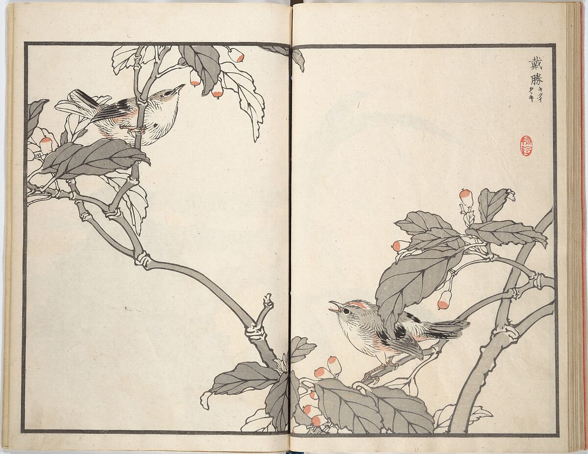 Bairei Picture Album of One Hundred Birds (Bairei hyakuchō gafu) 楳嶺百鳥畫譜, Kōno Bairei (Japanese, 1844–1895), Set of three woodblock printed books; ink and color on paper, Japan