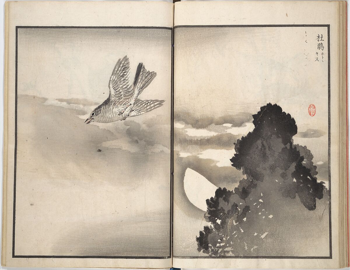 Bairei Picture Album of One Hundred Birds (Bairei hyakuchō gafu) 楳嶺百鳥畫譜, Kōno Bairei (Japanese, 1844–1895), Set of three woodblock printed books; ink and color on paper, Japan