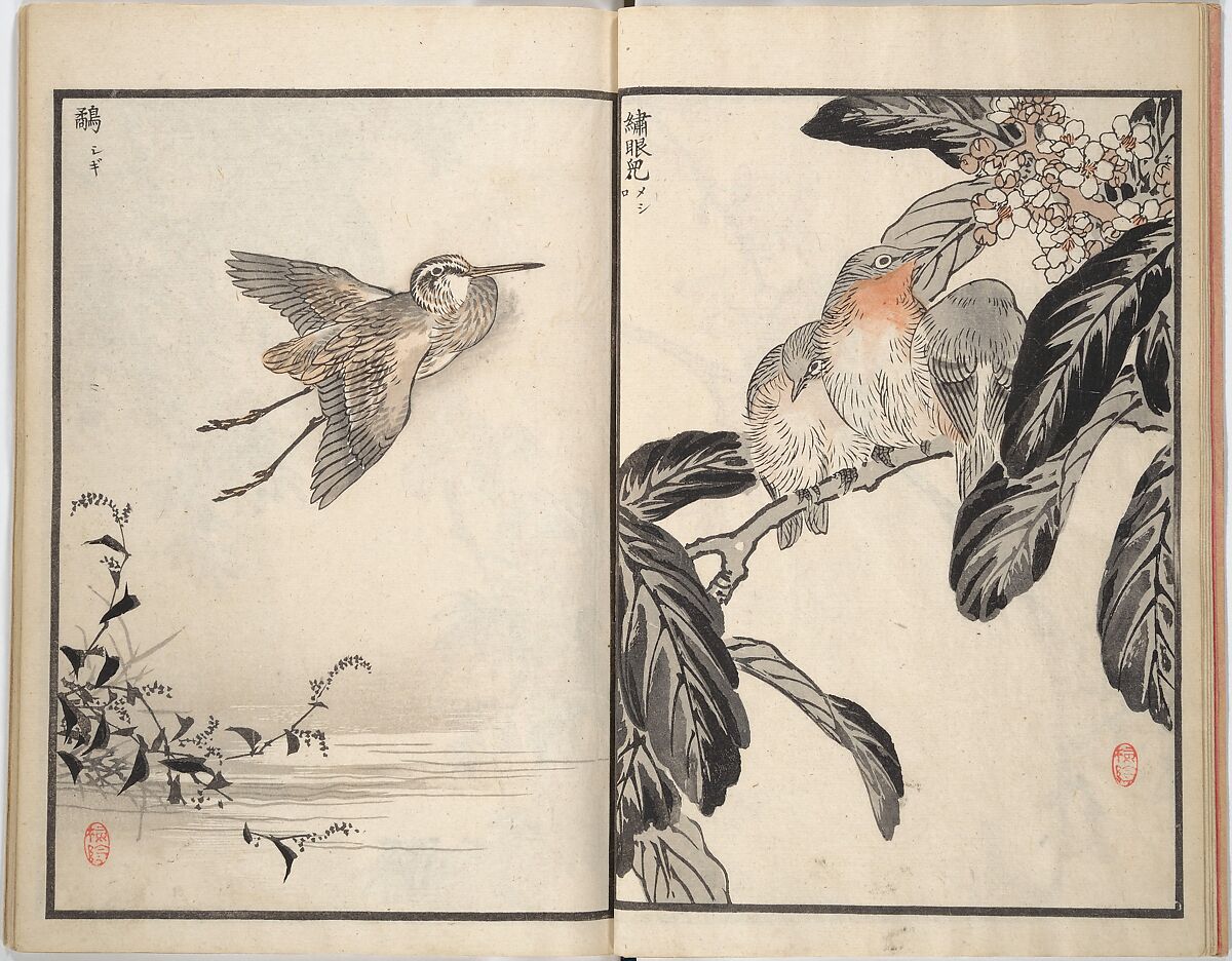 Bairei Picture Album of One Hundred Birds (Bairei hyakuchō gafu) 楳嶺百鳥畫譜, Kōno Bairei (Japanese, 1844–1895), Set of three woodblock printed books; ink and color on paper, Japan