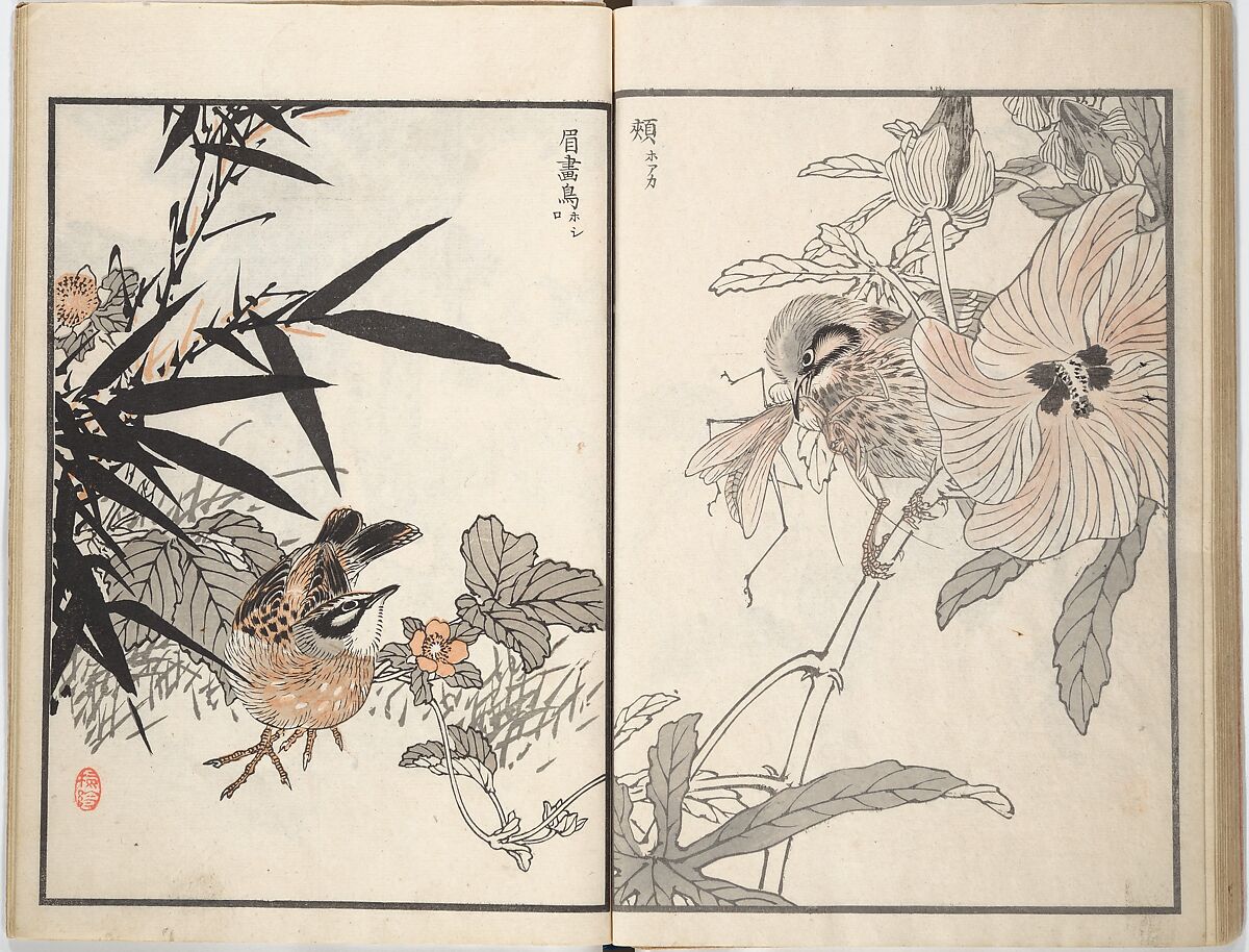 Bairei Picture Album of One Hundred Birds (Bairei hyakuchō gafu) 楳嶺百鳥畫譜, Kōno Bairei (Japanese, 1844–1895), Set of three woodblock printed books; ink and color on paper, Japan