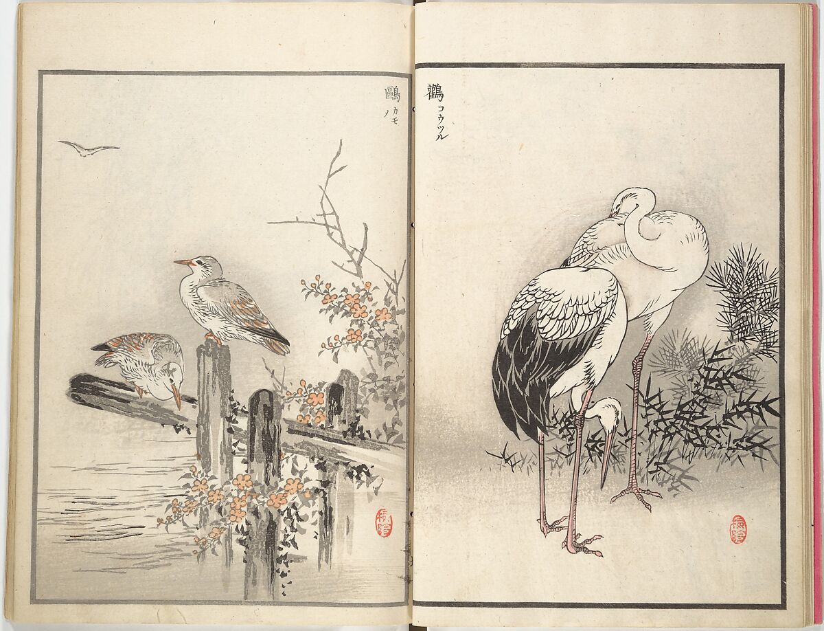 Bairei Picture Album of One Hundred Birds (Bairei hyakuchō gafu) 楳嶺百鳥畫譜, Kōno Bairei (Japanese, 1844–1895), Set of three woodblock printed books; ink and color on paper, Japan