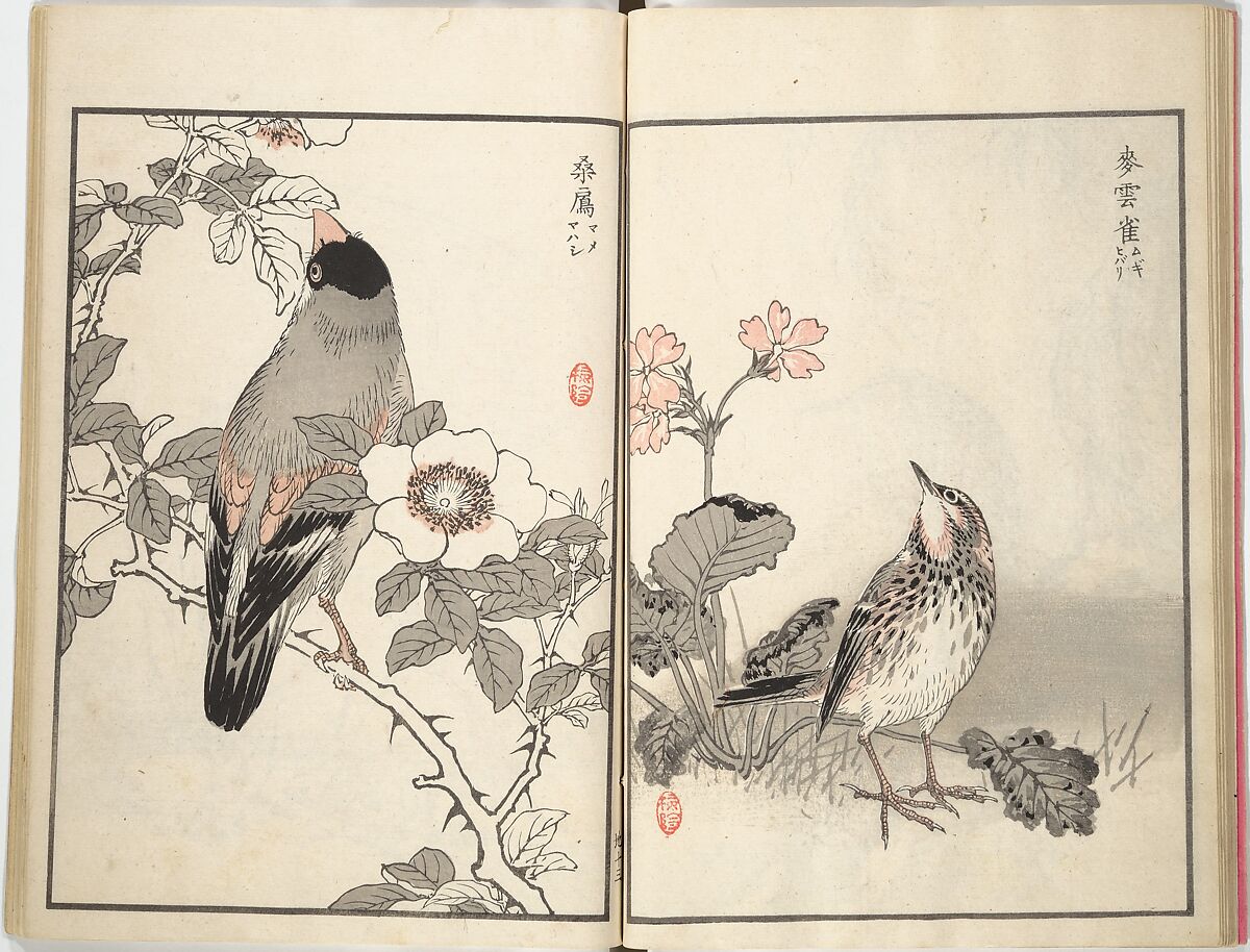 Bairei Picture Album of One Hundred Birds (Bairei hyakuchō gafu) 楳嶺百鳥畫譜, Kōno Bairei (Japanese, 1844–1895), Set of three woodblock printed books; ink and color on paper, Japan