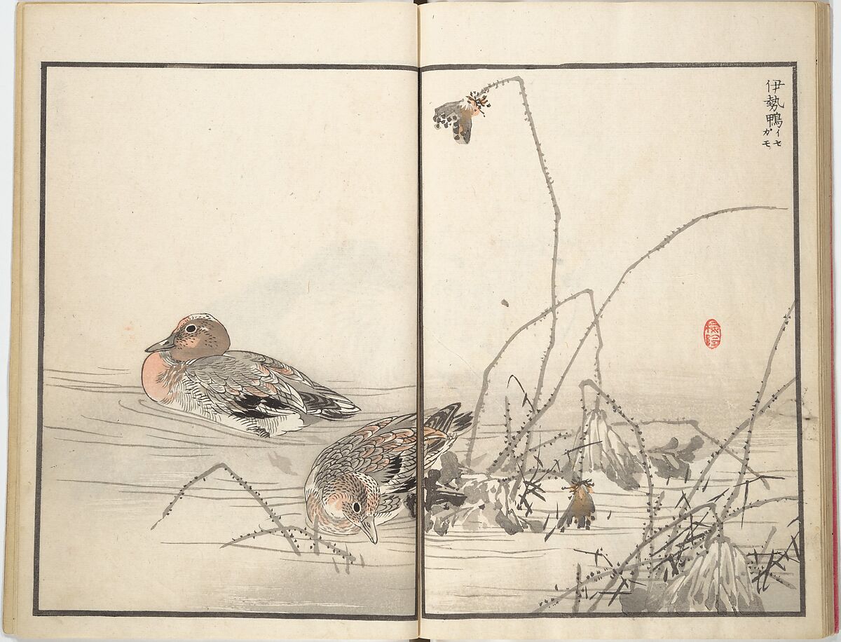 Bairei Picture Album of One Hundred Birds (Bairei hyakuchō gafu) 楳嶺百鳥畫譜, Kōno Bairei (Japanese, 1844–1895), Set of three woodblock printed books; ink and color on paper, Japan