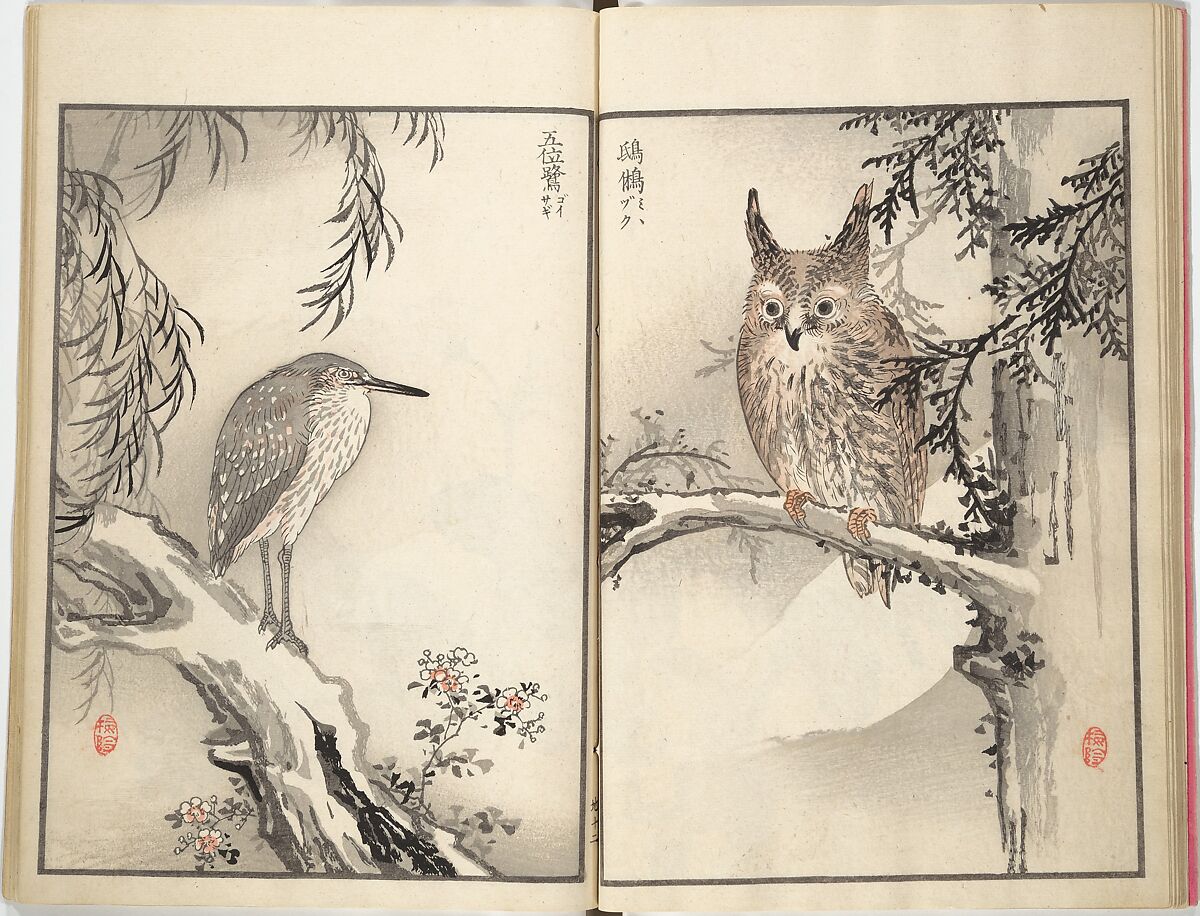 Bairei Picture Album of One Hundred Birds (Bairei hyakuchō gafu) 楳嶺百鳥畫譜, Kōno Bairei (Japanese, 1844–1895), Set of three woodblock printed books; ink and color on paper, Japan