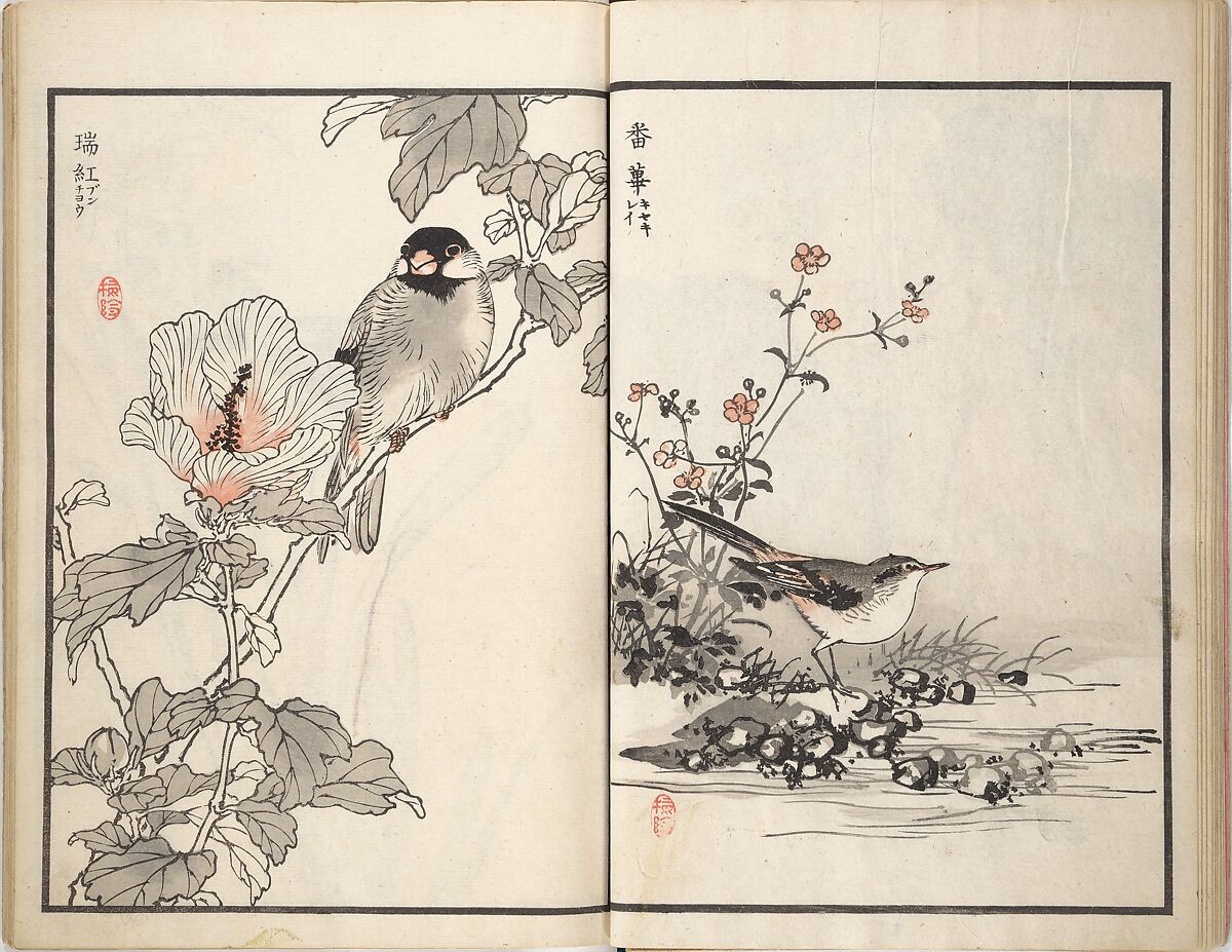 Bairei Picture Album of One Hundred Birds (Bairei hyakuchō gafu) 楳嶺百鳥畫譜, Kōno Bairei (Japanese, 1844–1895), Set of three woodblock printed books; ink and color on paper, Japan