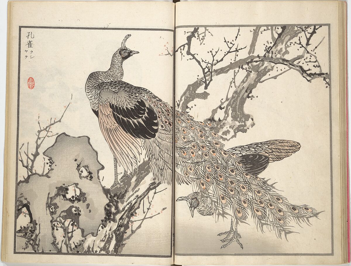 Bairei Picture Album of One Hundred Birds (Bairei hyakuchō gafu) 楳嶺百鳥畫譜, Kōno Bairei (Japanese, 1844–1895), Set of three woodblock printed books; ink and color on paper, Japan