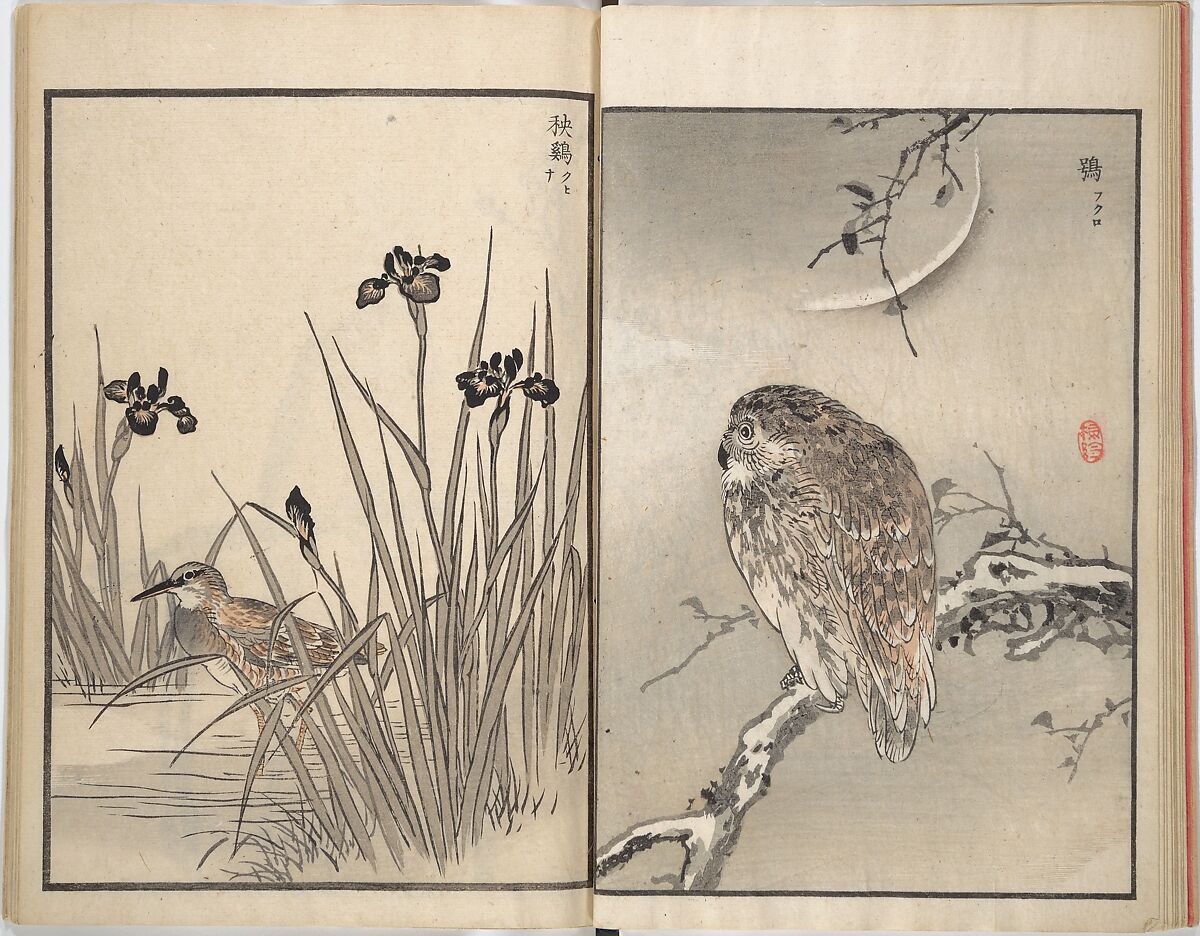 Bairei Picture Album of One Hundred Birds (Bairei hyakuchō gafu) 楳嶺百鳥畫譜, Kōno Bairei (Japanese, 1844–1895), Set of three woodblock printed books; ink and color on paper, Japan