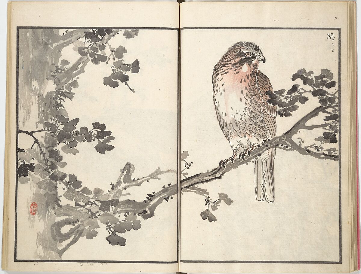 Bairei Picture Album of One Hundred Birds (Bairei hyakuchō gafu) 楳嶺百鳥畫譜, Kōno Bairei (Japanese, 1844–1895), Set of three woodblock printed books; ink and color on paper, Japan