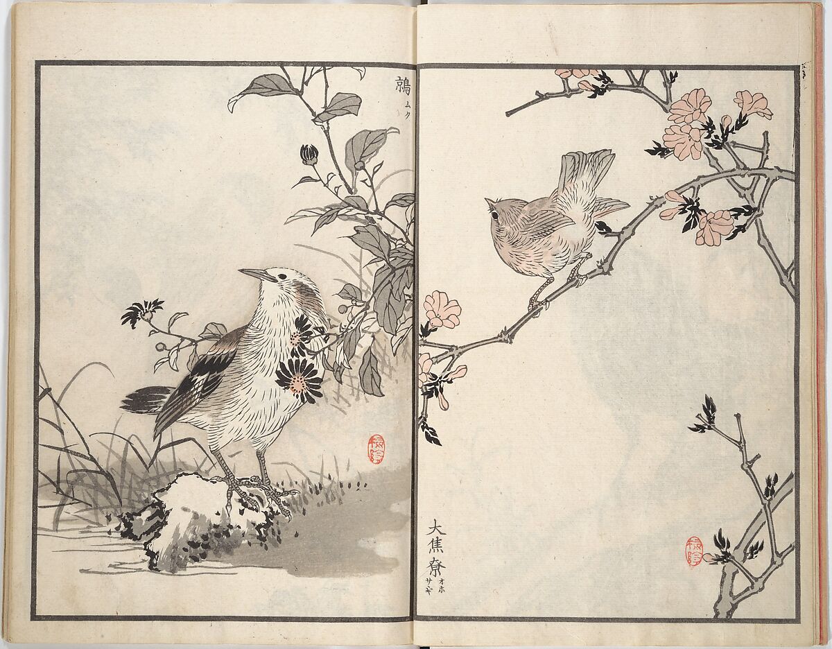 Bairei Picture Album of One Hundred Birds (Bairei hyakuchō gafu) 楳嶺百鳥畫譜, Kōno Bairei (Japanese, 1844–1895), Set of three woodblock printed books; ink and color on paper, Japan