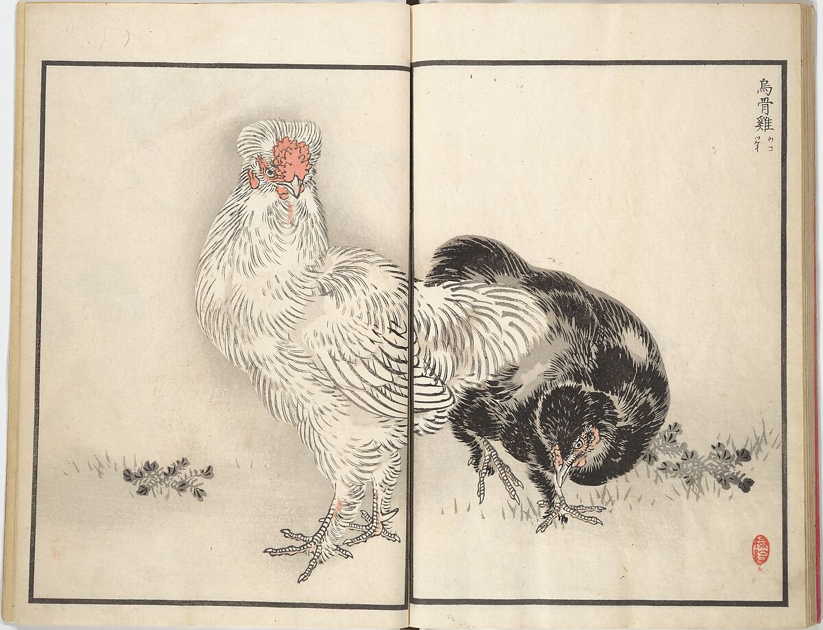 Bairei Picture Album of One Hundred Birds (Bairei hyakuchō gafu) 楳嶺百鳥畫譜, Kōno Bairei (Japanese, 1844–1895), Set of three woodblock printed books; ink and color on paper, Japan