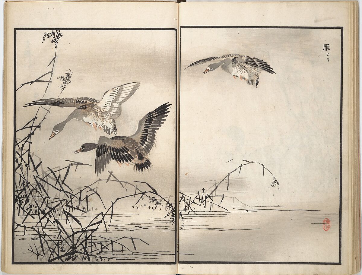 Bairei Picture Album of One Hundred Birds (Bairei hyakuchō gafu) 楳嶺百鳥畫譜, Kōno Bairei (Japanese, 1844–1895), Set of three woodblock printed books; ink and color on paper, Japan