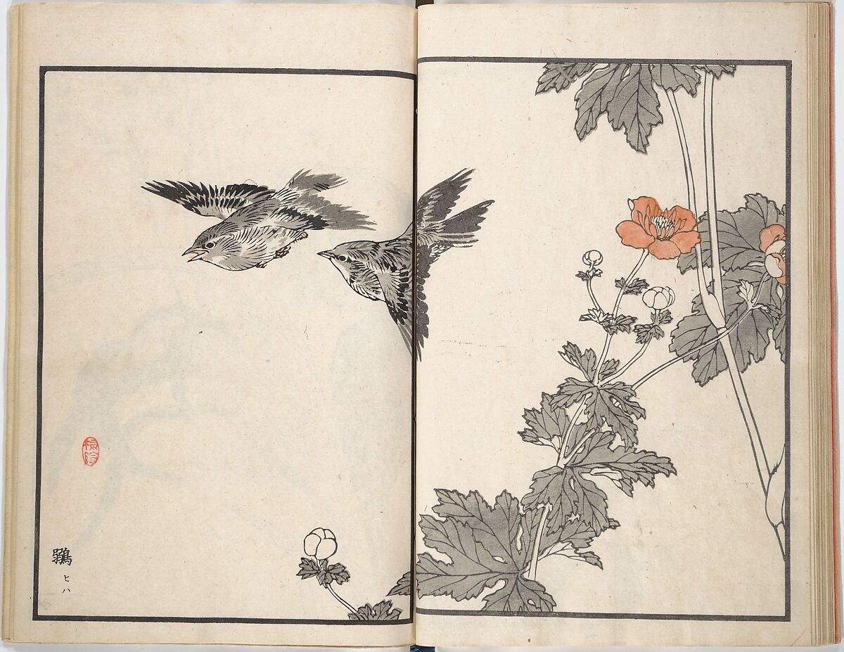 Bairei Picture Album of One Hundred Birds (Bairei hyakuchō gafu) 楳嶺百鳥畫譜, Kōno Bairei (Japanese, 1844–1895), Set of three woodblock printed books; ink and color on paper, Japan